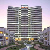 برج سايه كيش